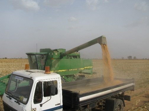 Mechanical harvesting and loading of crops on a Nigerian farm